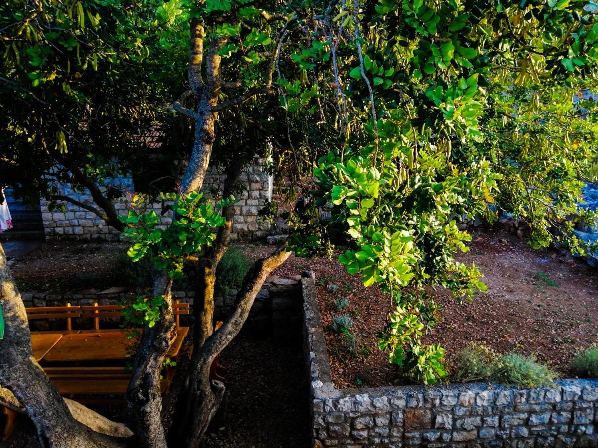 Ceratonia Apartments Lovište Εξωτερικό φωτογραφία